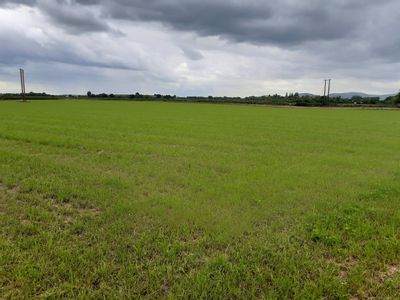 Property Image for Land At Longdon Heath, Upton Upon Severn, Worcestershire, WR8 0RJ