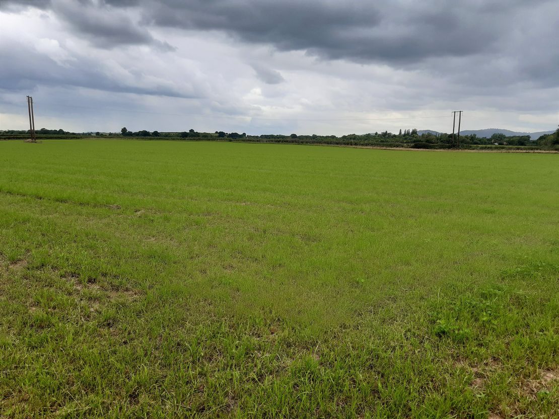 Land At Longdon Heath, Upton Upon Severn, Worcestershire, WR8 0RJ