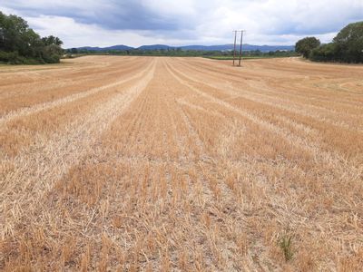 Property Image for Land At Longdon Heath, Upton Upon Severn, Worcestershire, WR8 0RJ