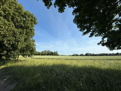 Property Image for Unit 1E Manor Farm Barns, Church Lane, Exton, Southampton, SO32 3NU