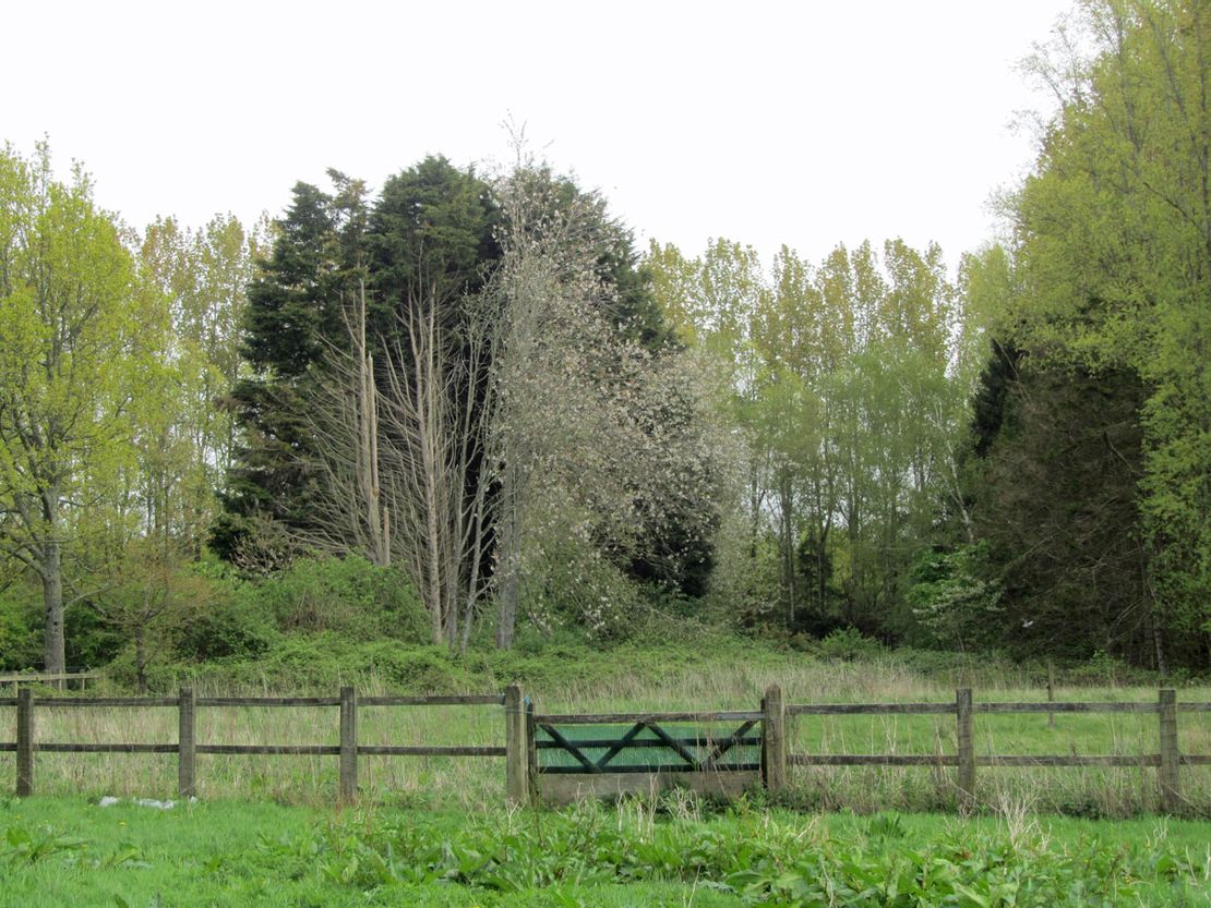 Hamilton Barn, Halland Park Farm, Halland