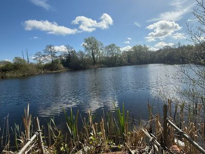 Property Image for Danbury Lake, Danbury Trout Lake, Off Sporhams Lane, Danbury, Chelmsford, Essex, CM3 4AW