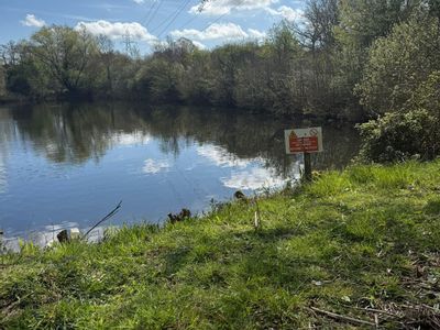 Property Image for Danbury Lake, Danbury Trout Lake, Off Sporhams Lane, Danbury, Chelmsford, Essex, CM3 4AW