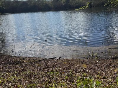 Property Image for Danbury Lake, Danbury Trout Lake, Off Sporhams Lane, Danbury, Chelmsford, Essex, CM3 4AW