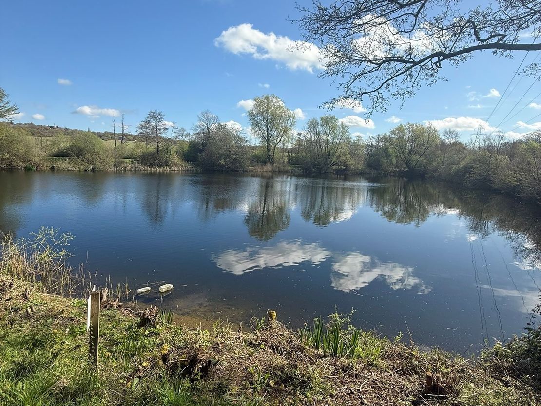 Danbury Lake, Danbury Trout Lake, Off Sporhams Lane, Danbury, Chelmsford, Essex, CM3 4AW