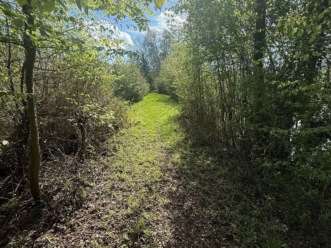 Danbury Lake, Danbury Trout Lake, Off Sporhams Lane, Danbury, Chelmsford, Essex, CM3 4AW