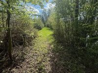 Property Image for Danbury Lake, Danbury Trout Lake, Off Sporhams Lane, Danbury, Chelmsford, Essex, CM3 4AW