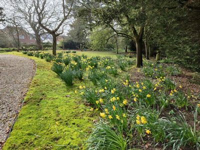 Property Image for Layer-de-la-haye, Colchester