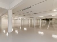 Property Image for Unit 11 Dana Trading Estate, Transfesa Road, Paddock Wood, Tonbridge, Kent, TN12 6UT