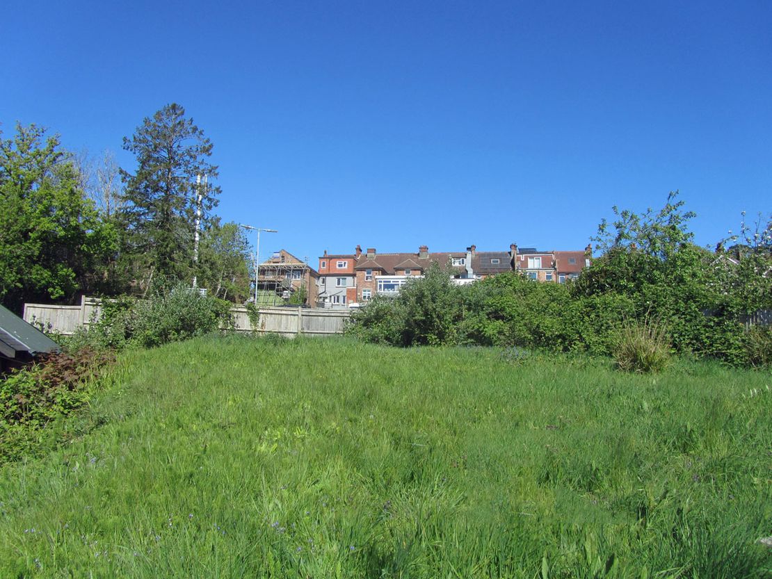 The Pet Store, Station Approach, Heathfield