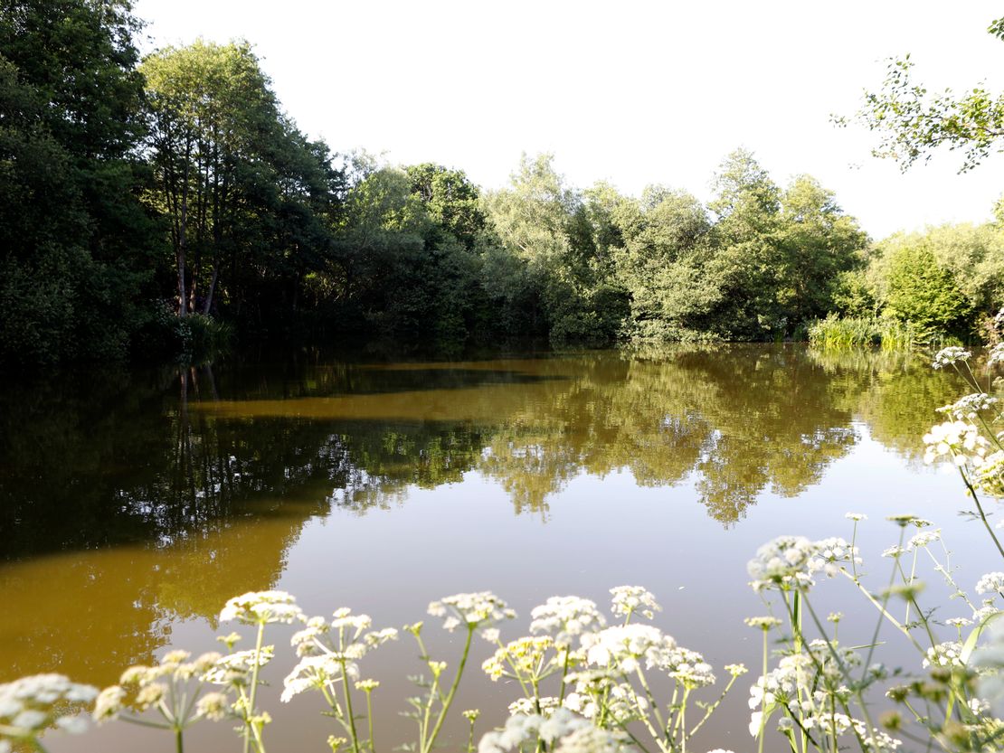 Strawberry Field Fishery, Hawkenbury Road, Tunbridge Wells, Kent, TN3 9AD