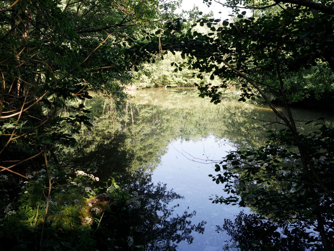 Strawberry Field Fishery, Hawkenbury Road, Tunbridge Wells, Kent, TN3 9AD