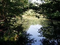 Property Image for Strawberry Field Fishery, Hawkenbury Road, Tunbridge Wells, Kent, TN3 9AD