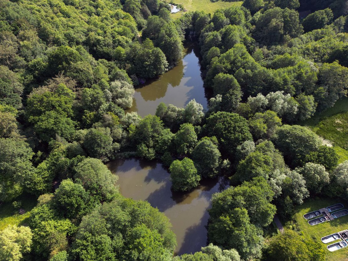 Strawberry Field Fishery, Hawkenbury Road, Tunbridge Wells, Kent, TN3 9AD