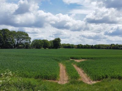 Property Image for 38.34 acres of Land at Tey Road, Aldham, Colchester