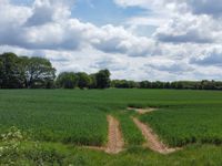 Property Image for 38.34 acres of Land at Tey Road, Aldham, Colchester