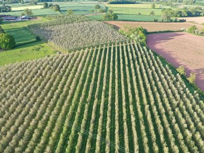 Property Image for Land Adjoining Upper Newton Farm, Kinnersley, Hereford, Herefordshire, HR3 6QB