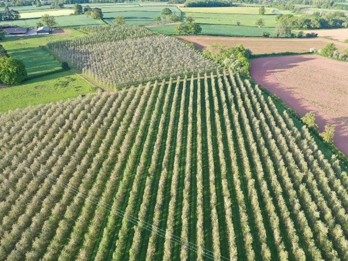 Land Adjoining Upper Newton Farm, Kinnersley, Hereford, Herefordshire, HR3 6QB