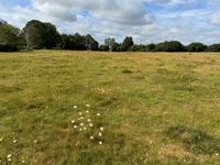Property Image for Blandy's Ln, Upper Basildon, Reading RG8