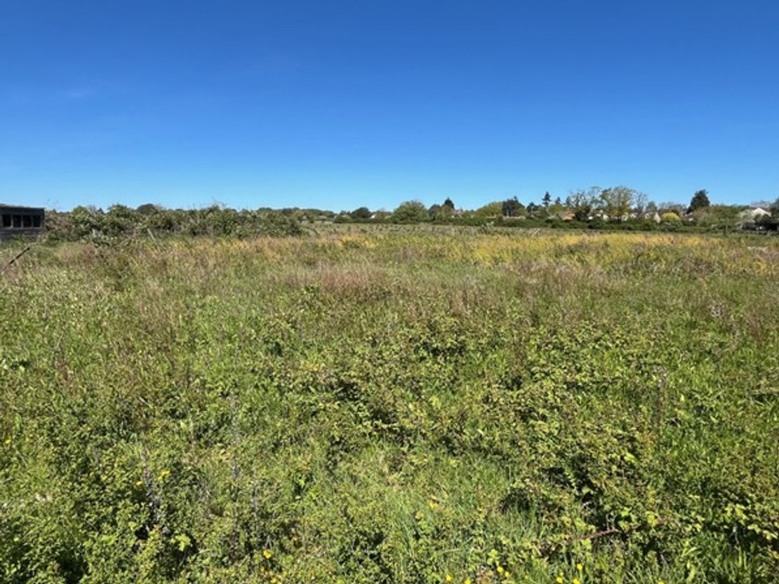 Plot 3, Captains Wood Road, Great Totham, Maldon, Essex, CM9 8PU