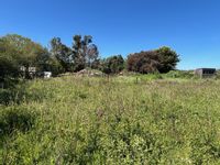 Property Image for Plot 3, Captains Wood Road, Great Totham, Maldon, Essex, CM9 8PU