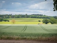 Property Image for Grove Farm, Henny Street, Great Henny, Sudbury, Suffolk, CO10 7LT