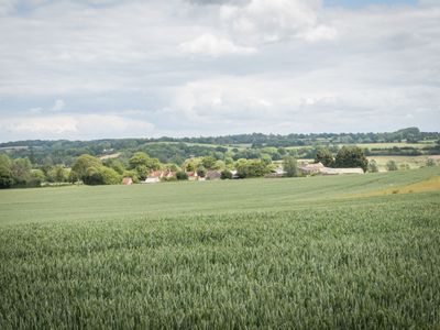 Property Image for Grove Farm, Henny Street, Great Henny, Sudbury, Suffolk, CO10 7LT