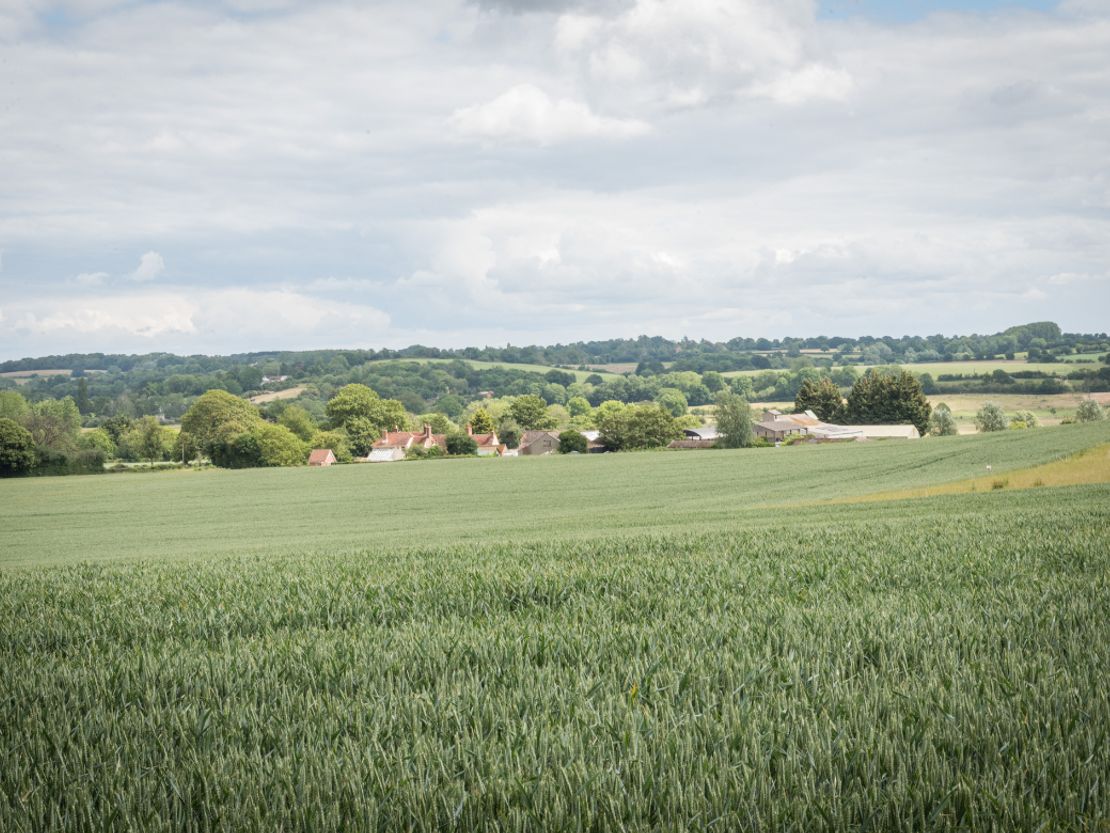 Grove Farm, Henny Street, Great Henny, Sudbury, Suffolk, CO10 7LT