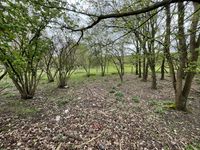 Property Image for Land To North, Coppermill Road, Wraysbury, TW19 5NU