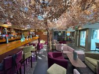 Property Image for The Braided Fig, 39 Summer Street, Aberdeen, Aberdeenshire, AB10 1SB
