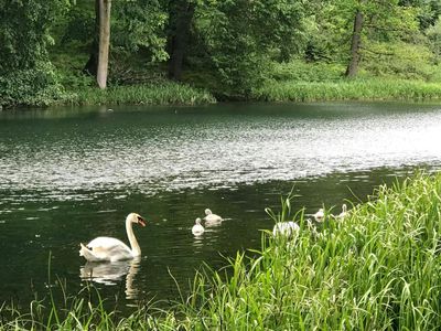 Property Image for Southill Barn, Southill Business Park, Cornbury Park, Chipping Norton, OX7 3EW