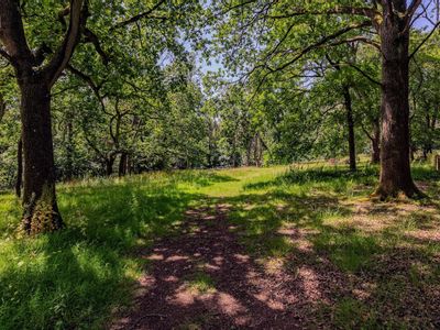Property Image for Land And Stables North Of, Lightwood Lane, Randwick, Gloucestershire, GL6 6JW