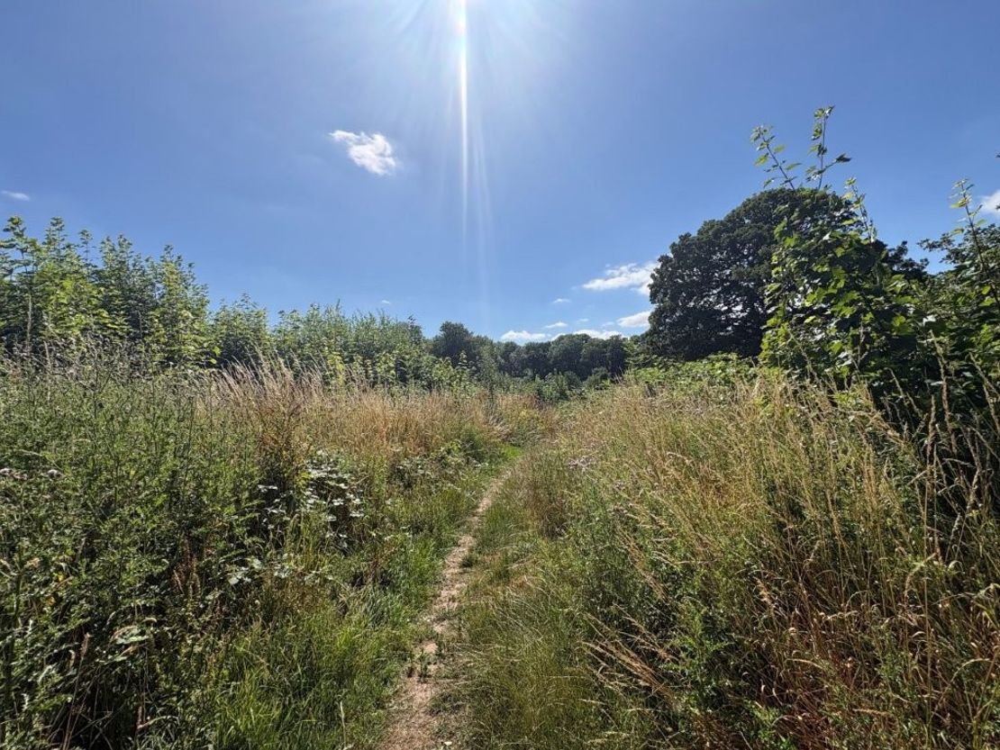 Strategic Land Adjoining Park Lane, Park Lane, Castle Donington, Derby, Leicestershire, DE74 2JF