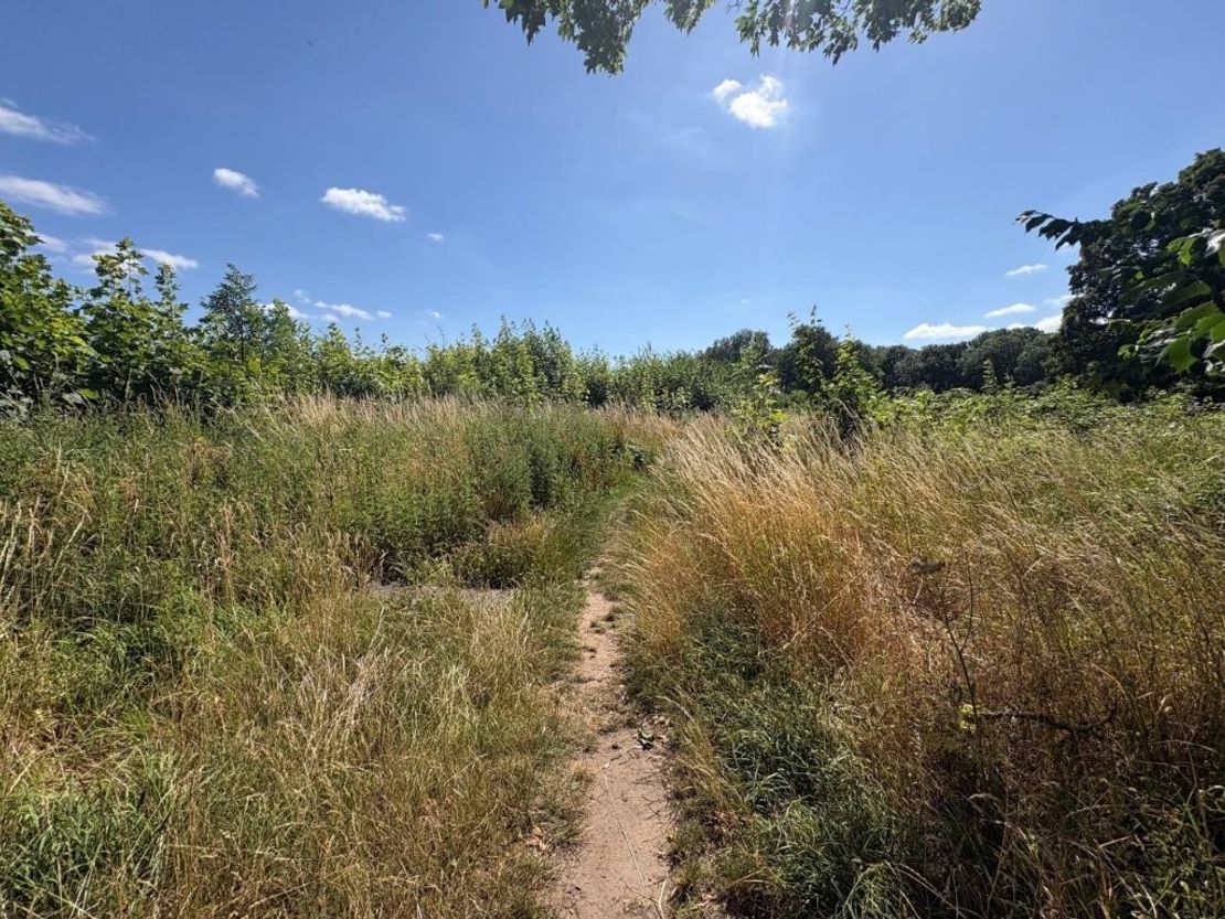 Strategic Land Adjoining Park Lane, Park Lane, Castle Donington, Derby, Leicestershire, DE74 2JF