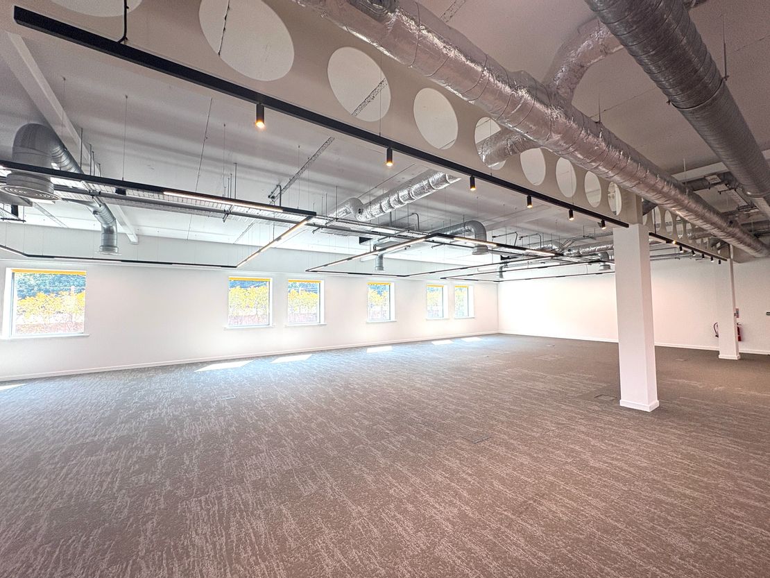 Vista - Ground Floor, A55 North Wales, St. Davids Park, Ewloe, Flintshire, CH5 3DT
