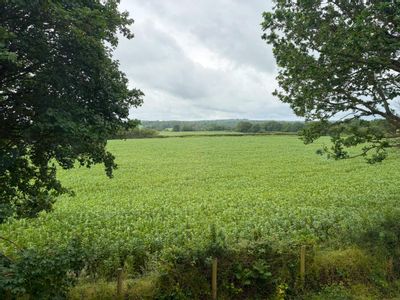 Property Image for Chequers Barn, Chequers Hill, Edenbridge, TN8 7PD