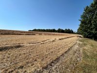 Property Image for Land Adjacent To, Northfield Farm Industrial Estate, Wantage Road, Great Shefford, Hungerford, Berkshire, RG17 7BY