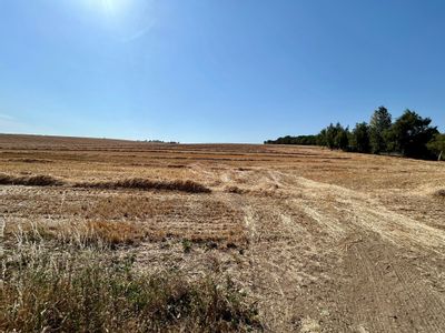 Property Image for Land Adjacent To, Northfield Farm Industrial Estate, Wantage Road, Great Shefford, Hungerford, Berkshire, RG17 7BY