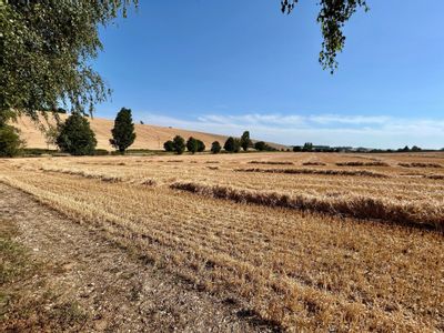 Property Image for Land Adjacent To, Northfield Farm Industrial Estate, Wantage Road, Great Shefford, Hungerford, Berkshire, RG17 7BY