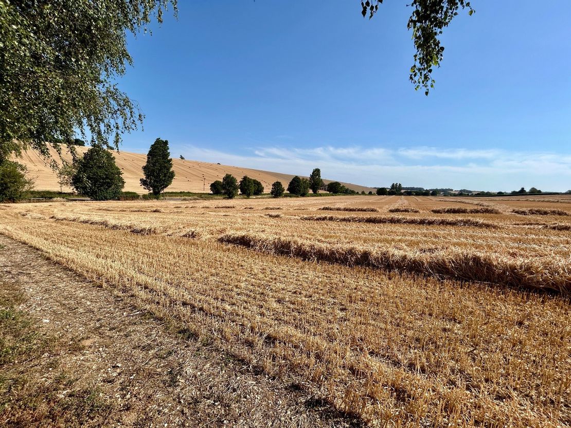 Land Adjacent To, Northfield Farm Industrial Estate, Wantage Road, Great Shefford, Hungerford, Berkshire, RG17 7BY