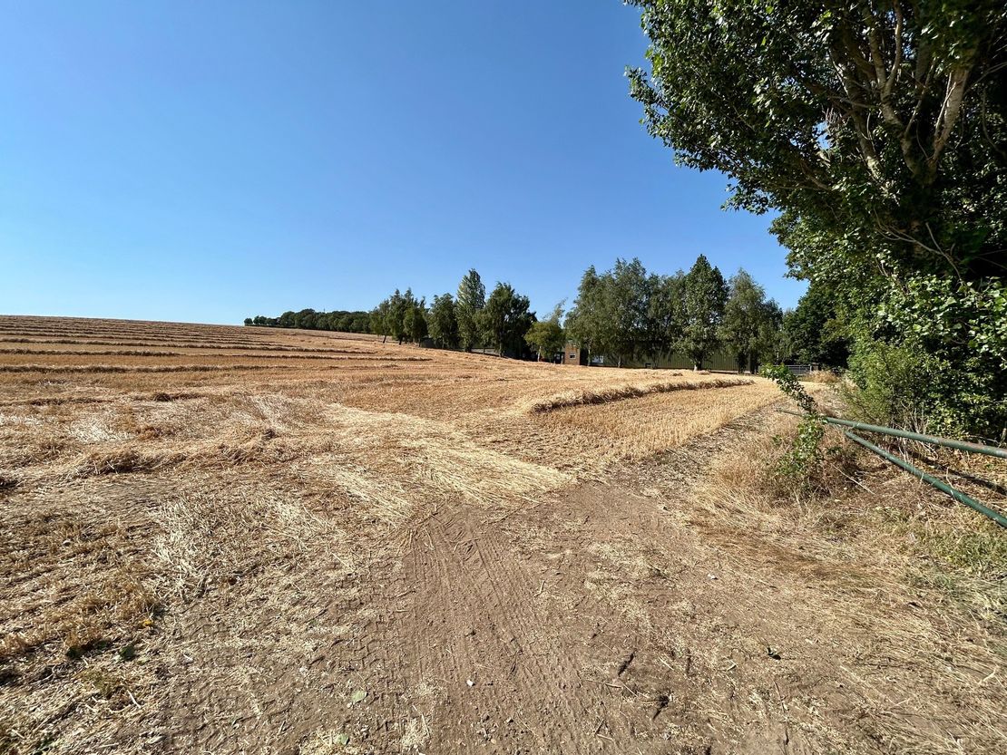 Land Adjacent To, Northfield Farm Industrial Estate, Wantage Road, Great Shefford, Hungerford, Berkshire, RG17 7BY