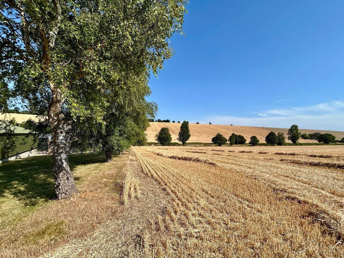 Land Adjacent To, Northfield Farm Industrial Estate, Wantage Road, Great Shefford, Hungerford, Berkshire, RG17 7BY