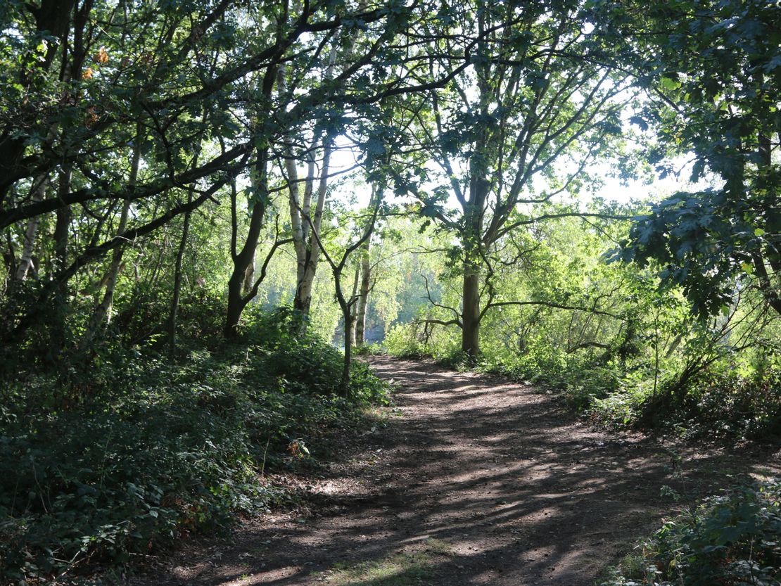 Railway Lake, Lincoln, East Midlands, LN6 0BN