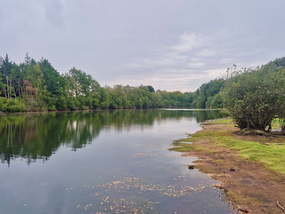 Railway Lake, Lincoln, East Midlands, LN6 0BN