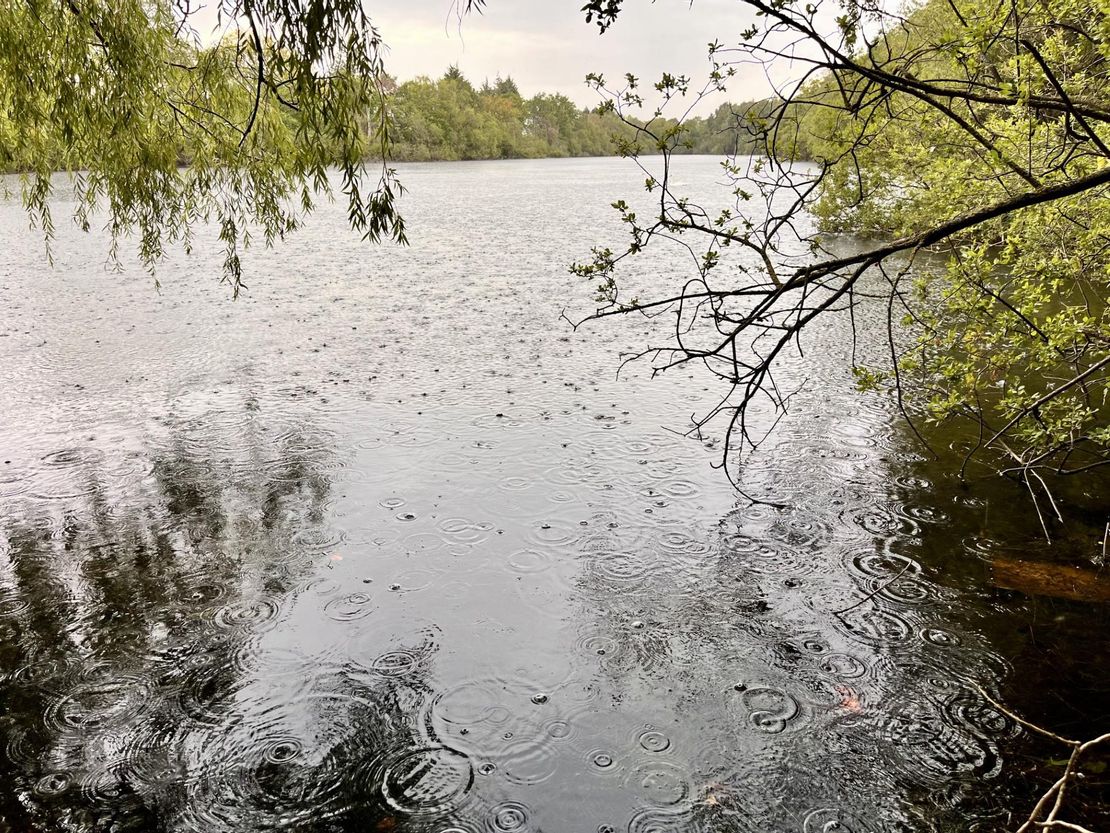 Railway Lake, Lincoln, East Midlands, LN6 0BN