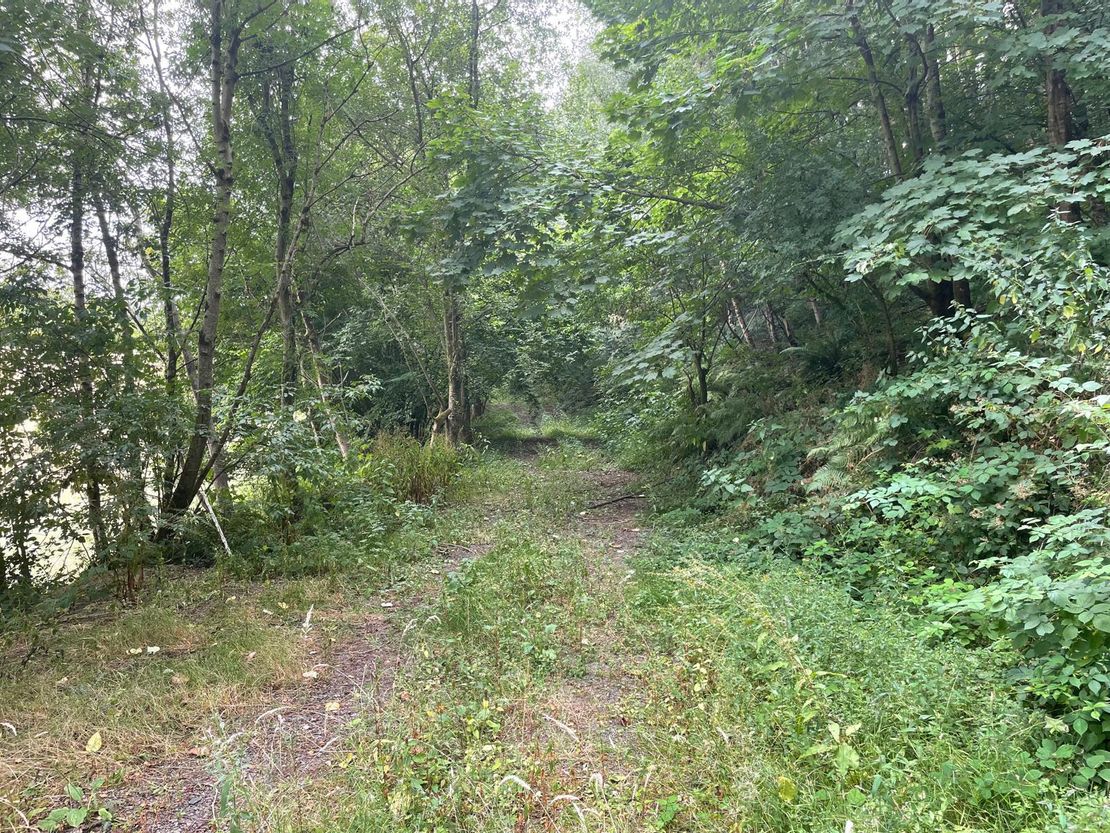 Long Nursery Coppice, Walton, Presteigne, Powys, LD8 2RE