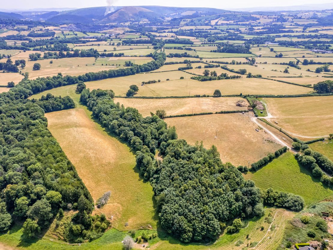 Long Nursery Coppice, Walton, Presteigne, Powys, LD8 2RE