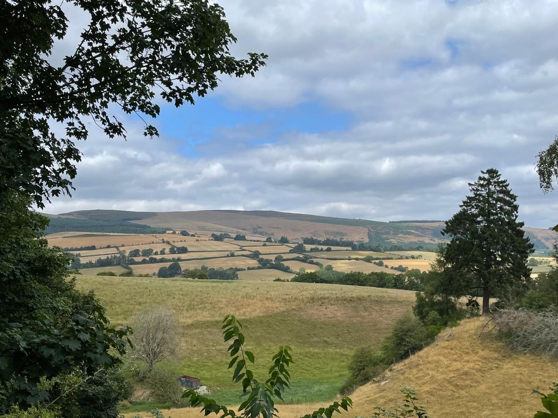 Long Nursery Coppice, Walton, Presteigne, Powys, LD8 2RE