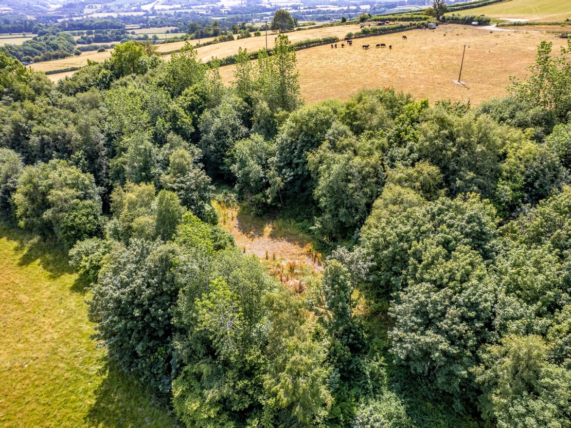 Long Nursery Coppice, Walton, Presteigne, Powys, LD8 2RE