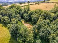 Property Image for Long Nursery Coppice, Walton, Presteigne, Powys, LD8 2RE